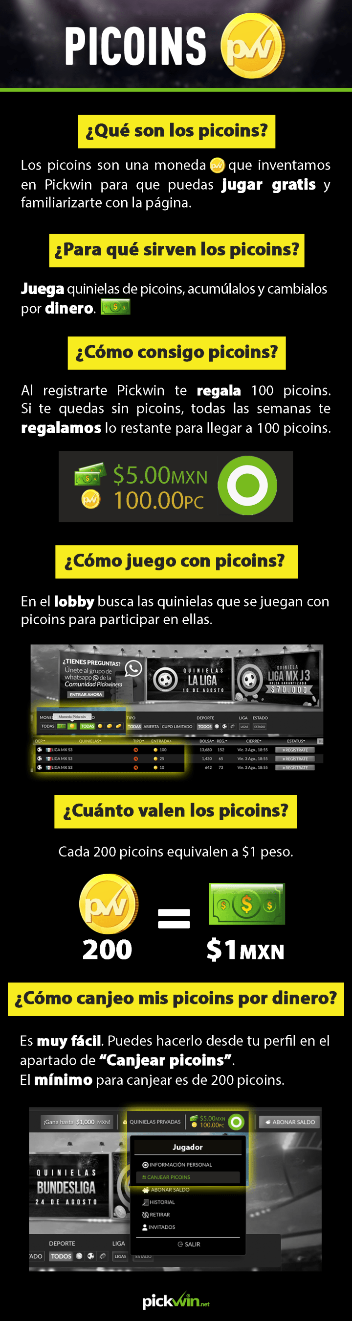 Infografia 02 Picoins