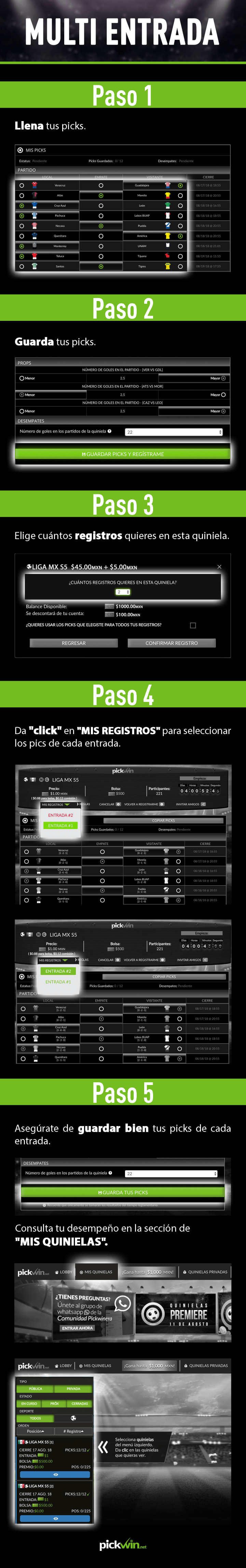 Infografia 05 Multi entrada.png